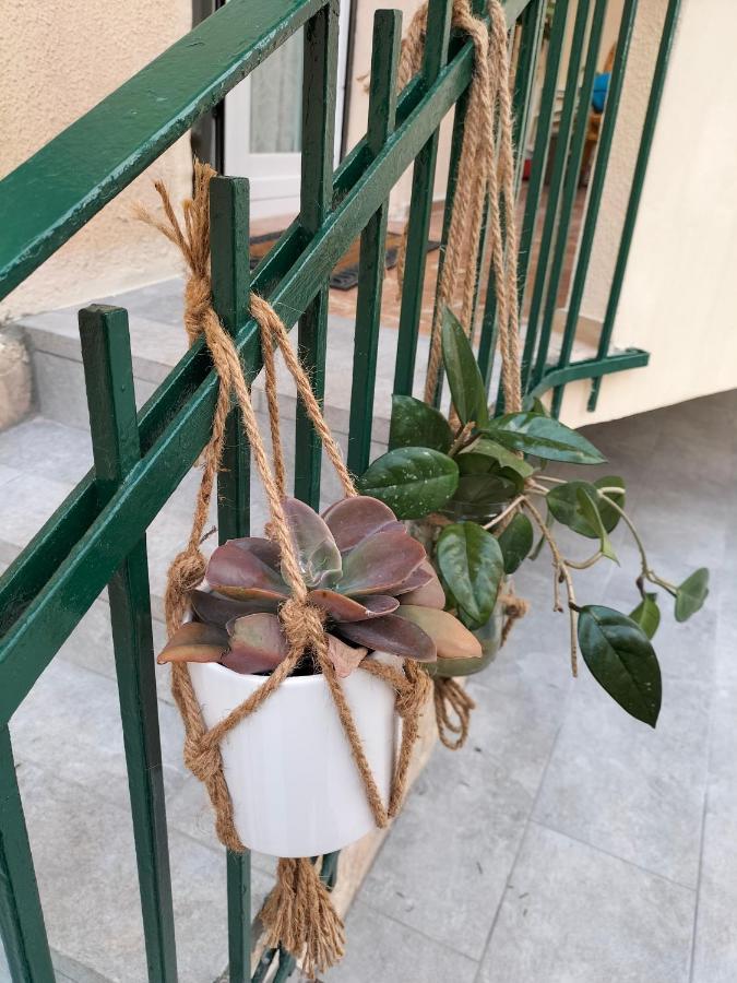 דירות לצ'ה Casetta Albale מראה חיצוני תמונה